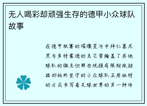 无人喝彩却顽强生存的德甲小众球队故事